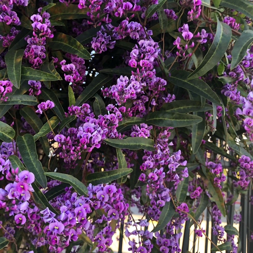 Meet your Posher, Nav